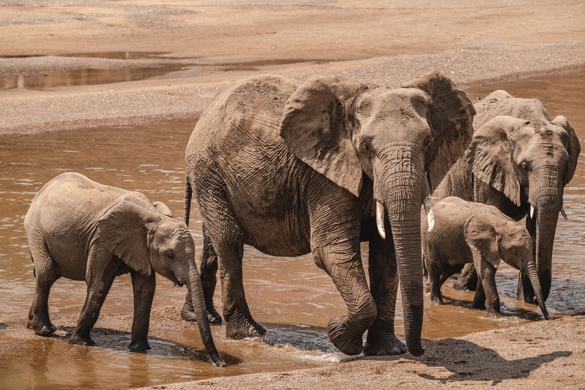 svenjastumpe_fotografie-45