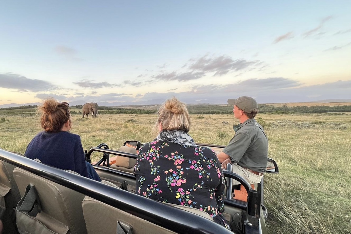 817b91d9-a03d-4487-a15b-64a5be9656b7 2